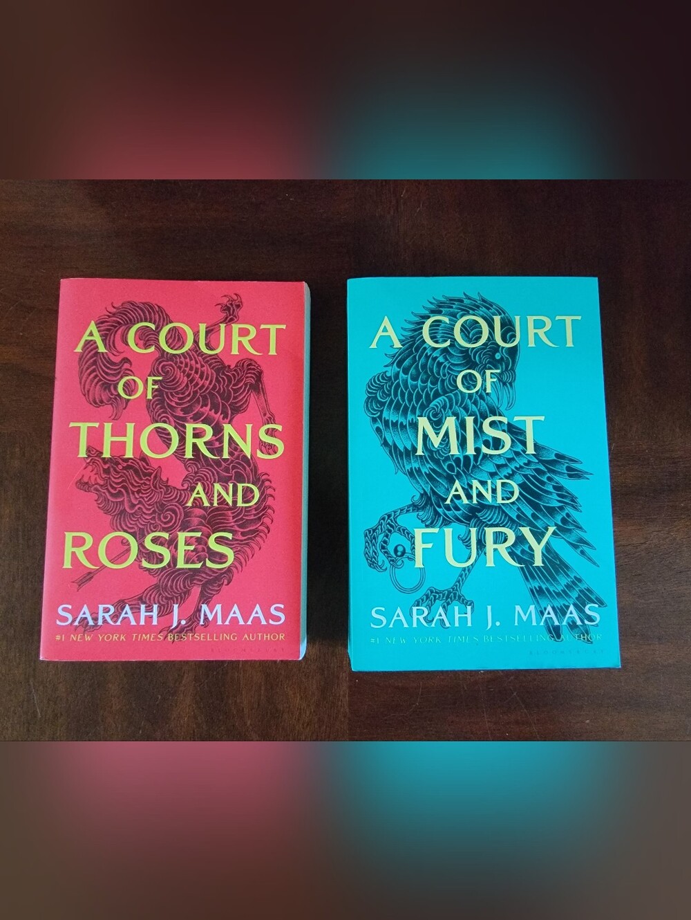 ACOTAR by Sarah J Maas Paperback Fantasy Romance Novel Book Booktok